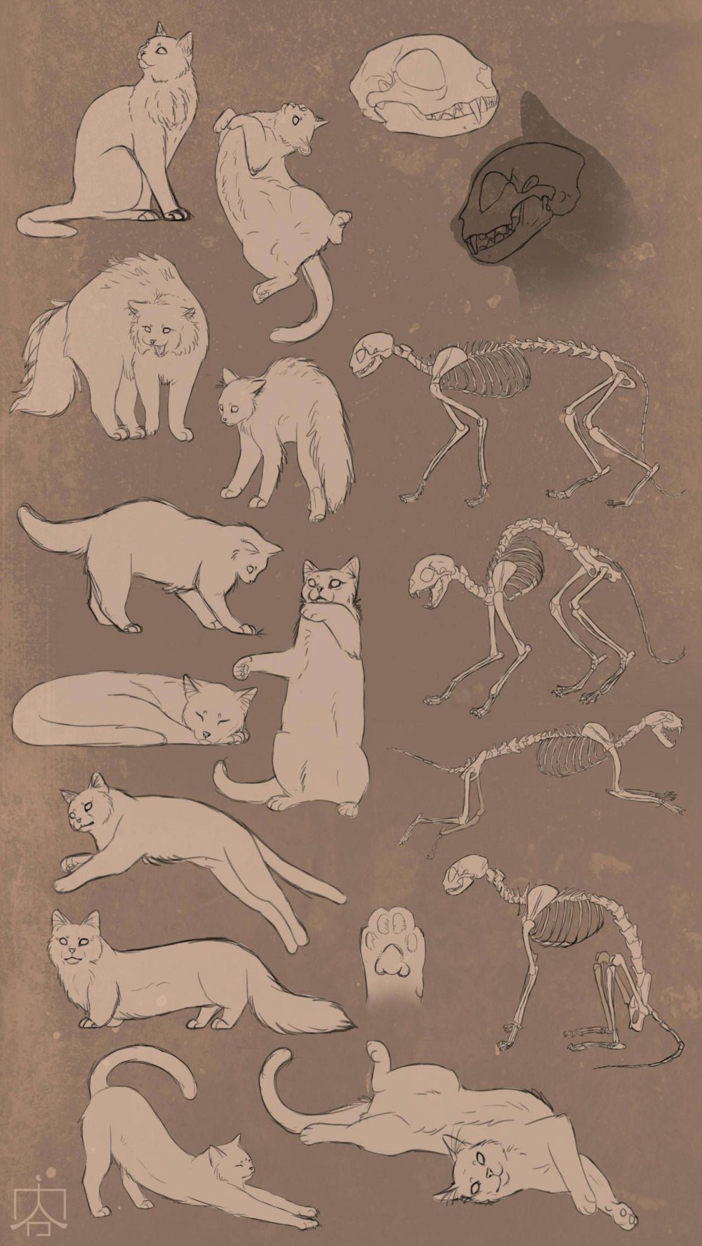 Коты Воители Березовик