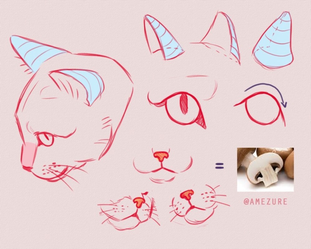 Кошка референс