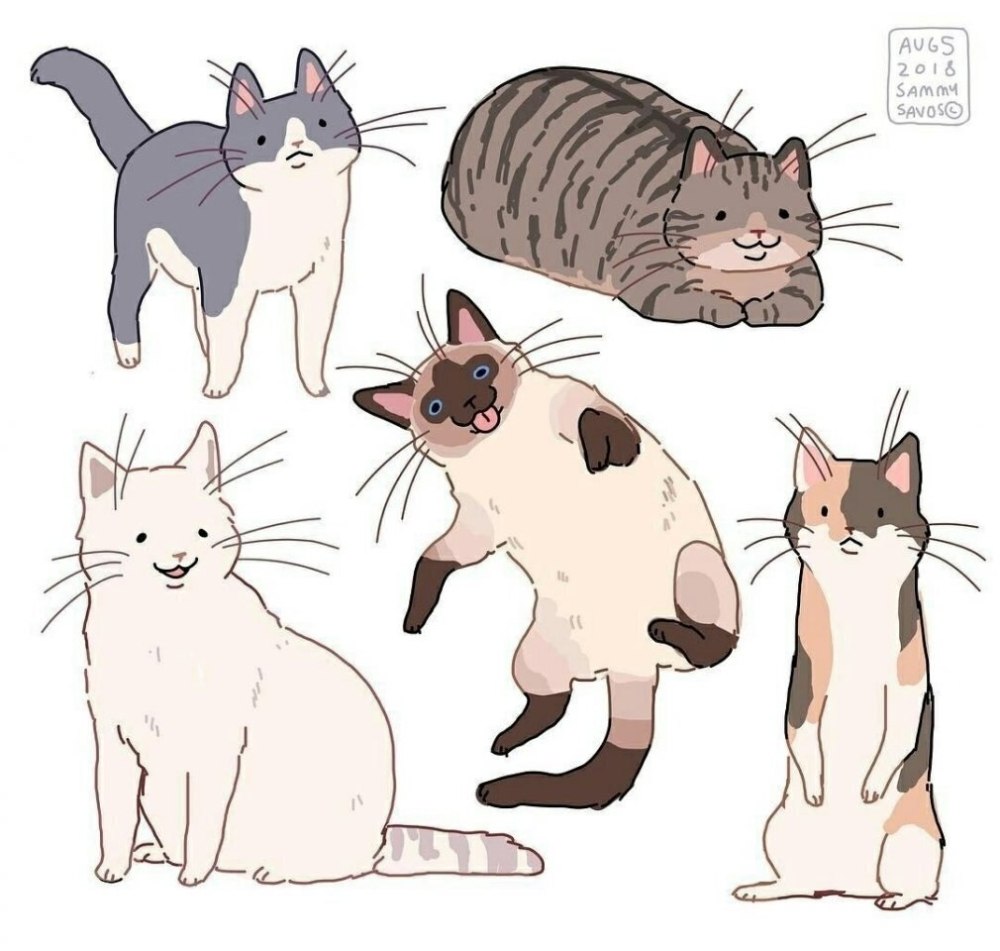 Анатомия котов коты Воители