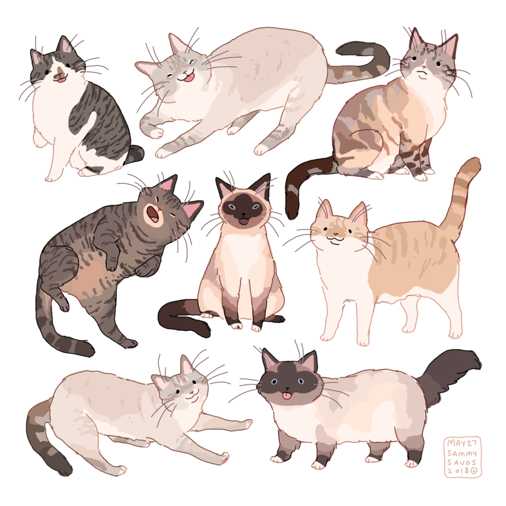 Коты Воители позы референс