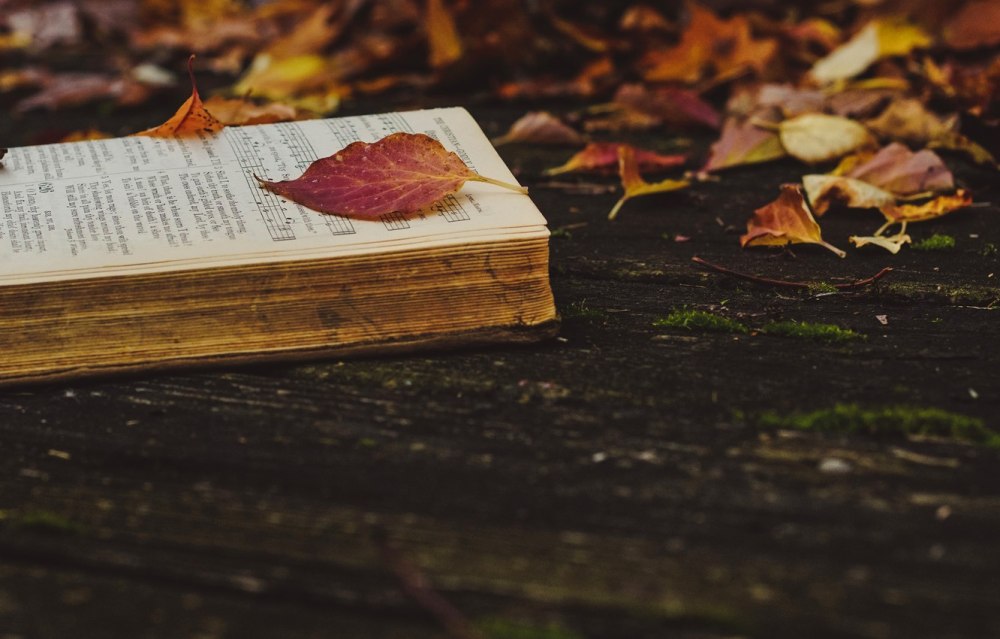 Осенний фон с книгами
