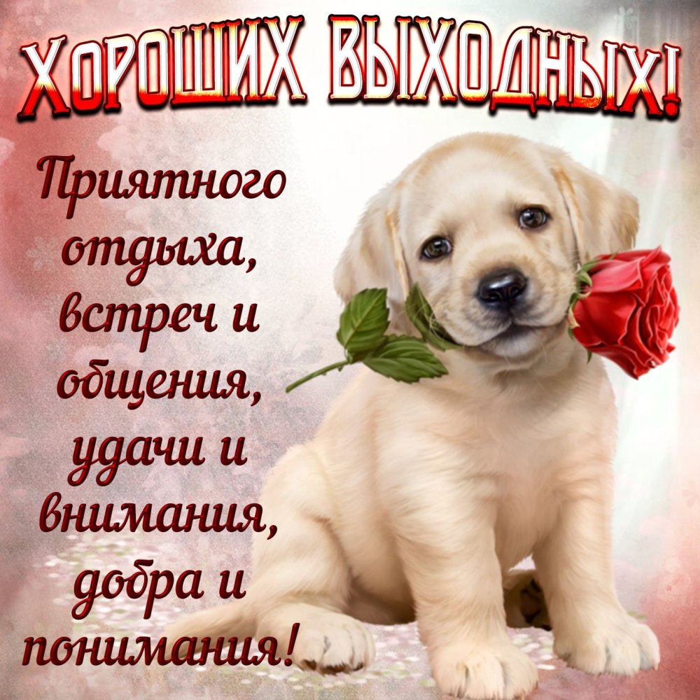 С добры м суббоьним утрои