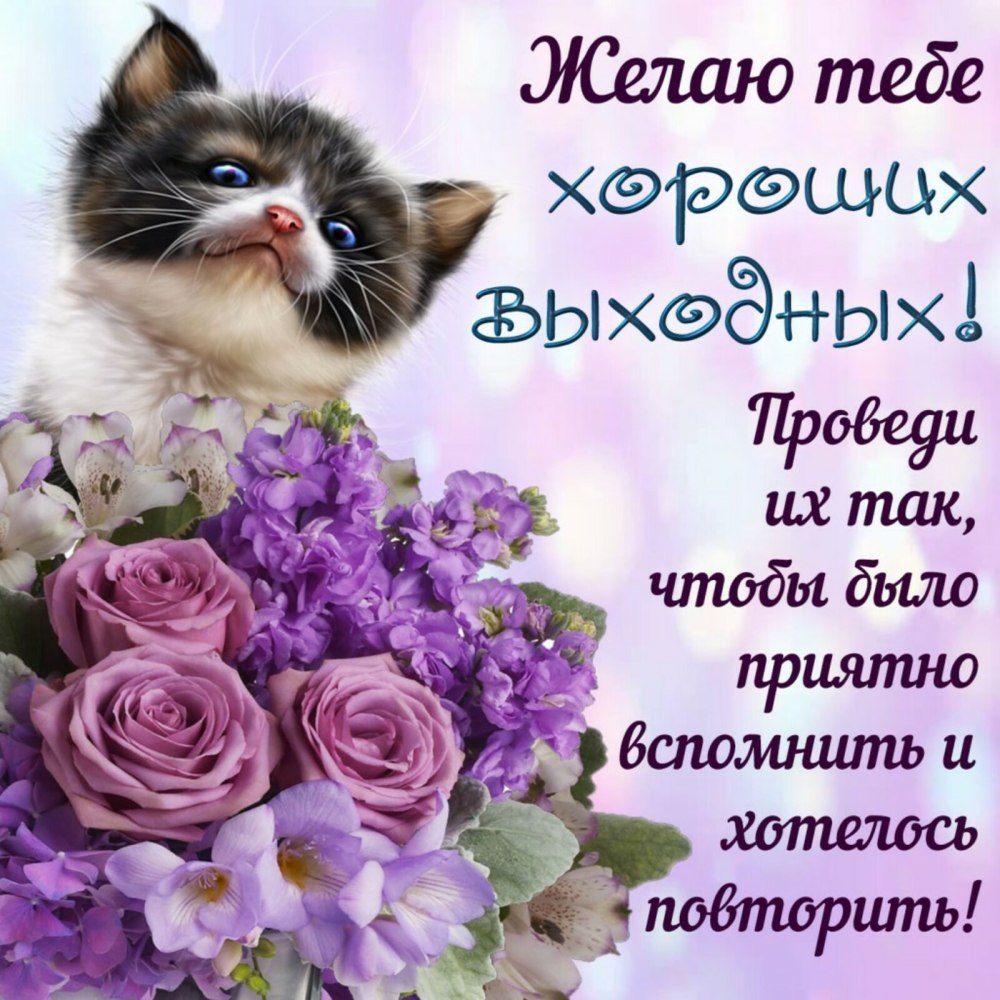 Хорошего дня и отличного настроения