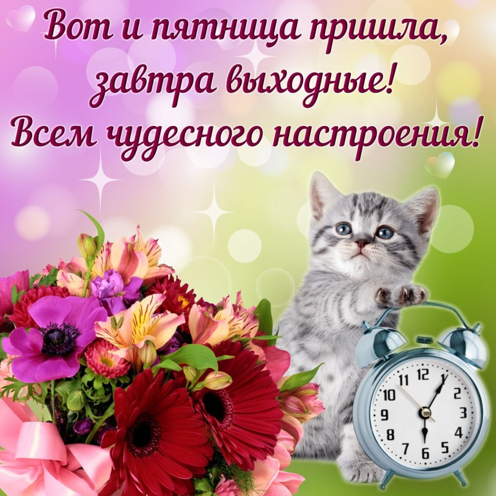 Зимние выходные
