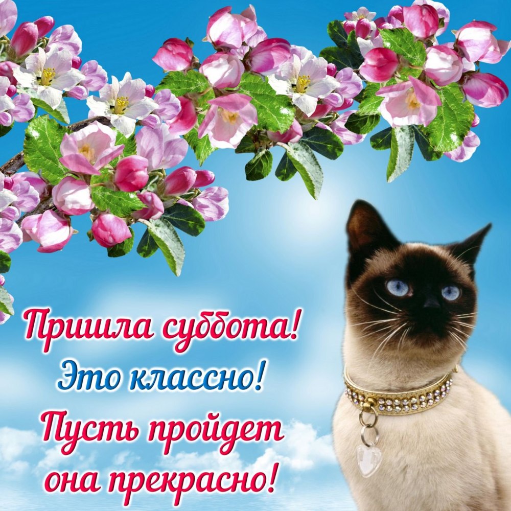 Хороших выходных и отличного настроения