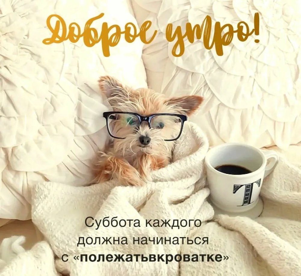 Доброе утро выходного дня