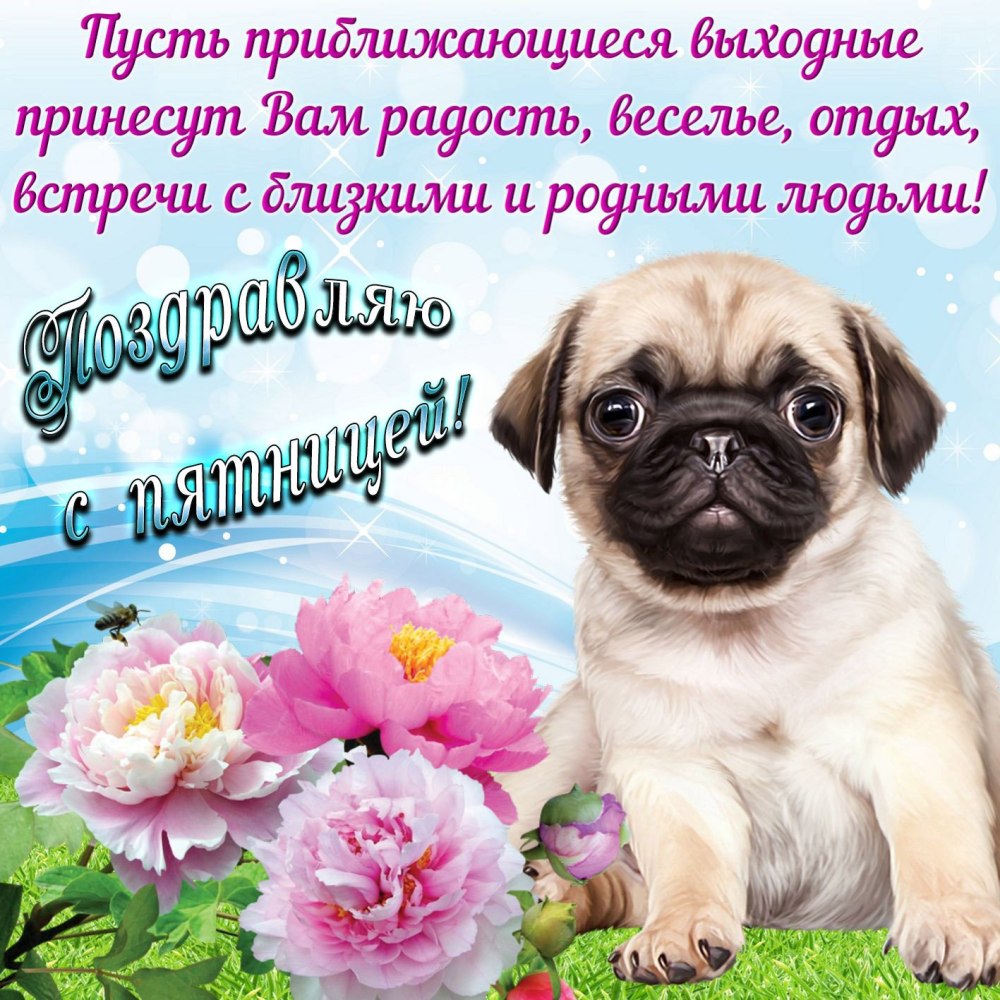 Чудесных выходных