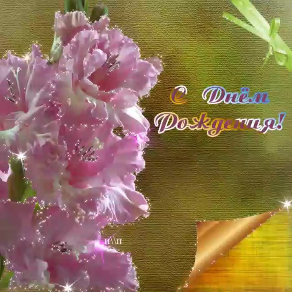 Открытки с гладиолусами с днем рождения