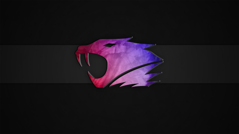 IBUYPOWER команда CS go
