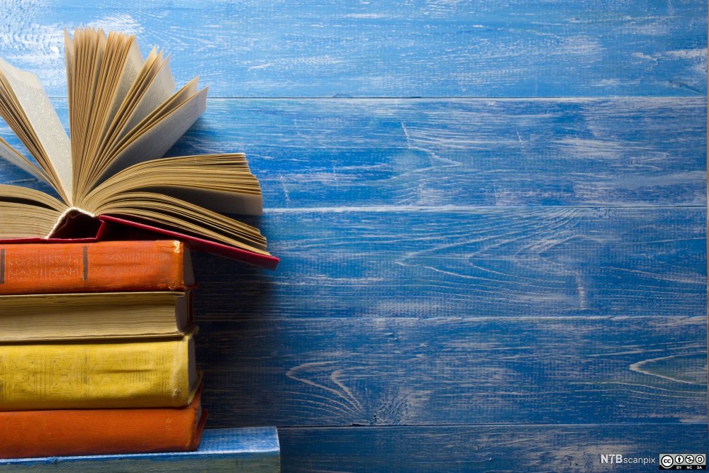 Фон для презентации книги