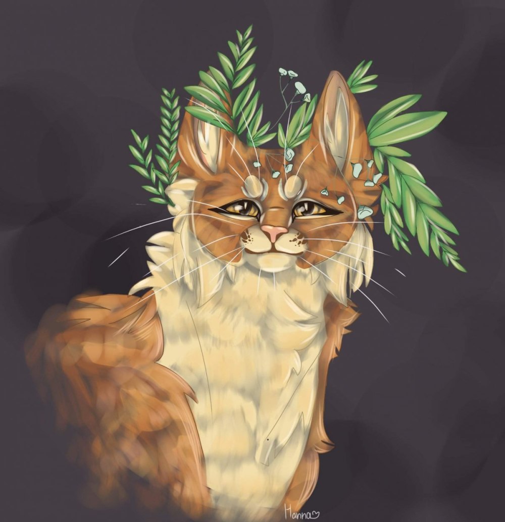 Коты Воители Мотылинка