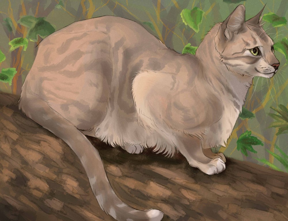 Коты Воители Львиносвет