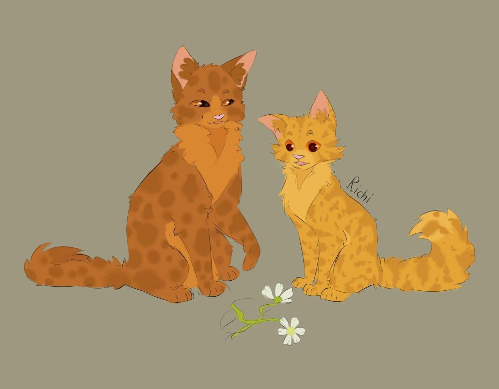 Коты Воители Мотылинка