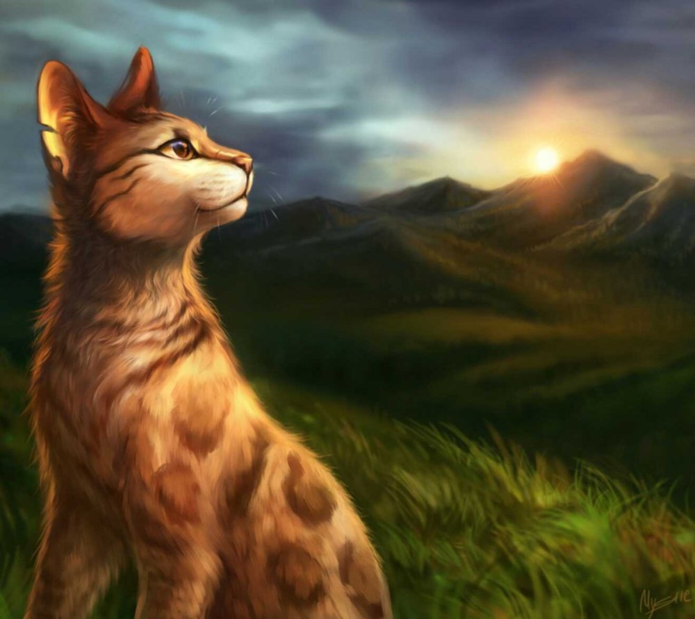 Коты Воители Коршун