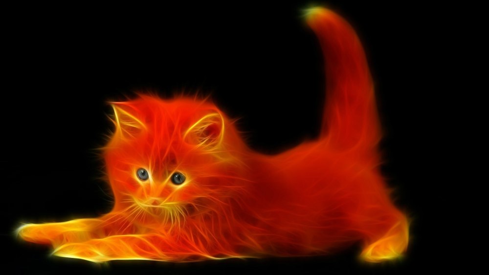 Огненная кошка
