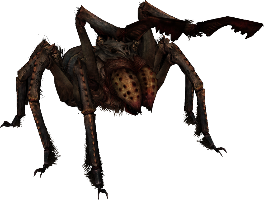 Giant Spiders 28mm