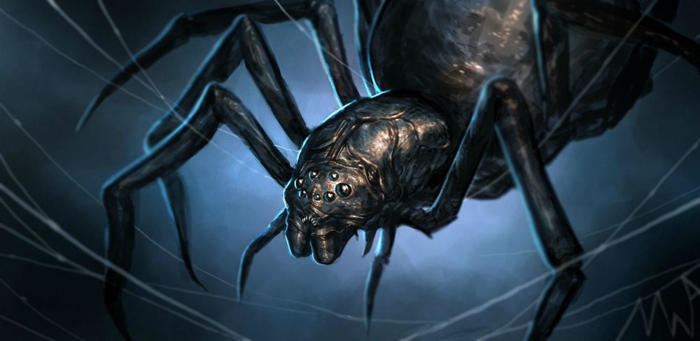 Spiders of Middle-Earth