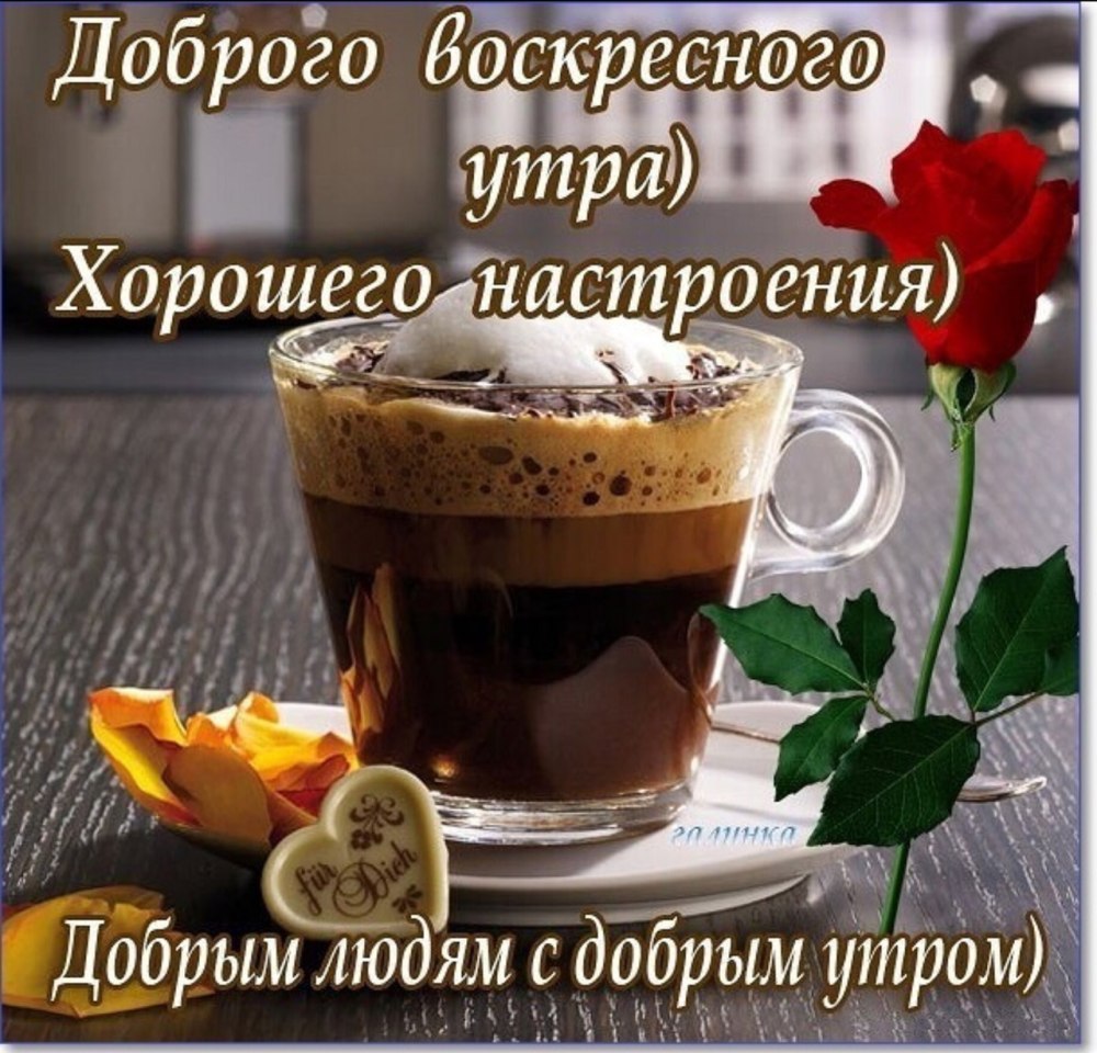 Доброгт субьотнего вкчера