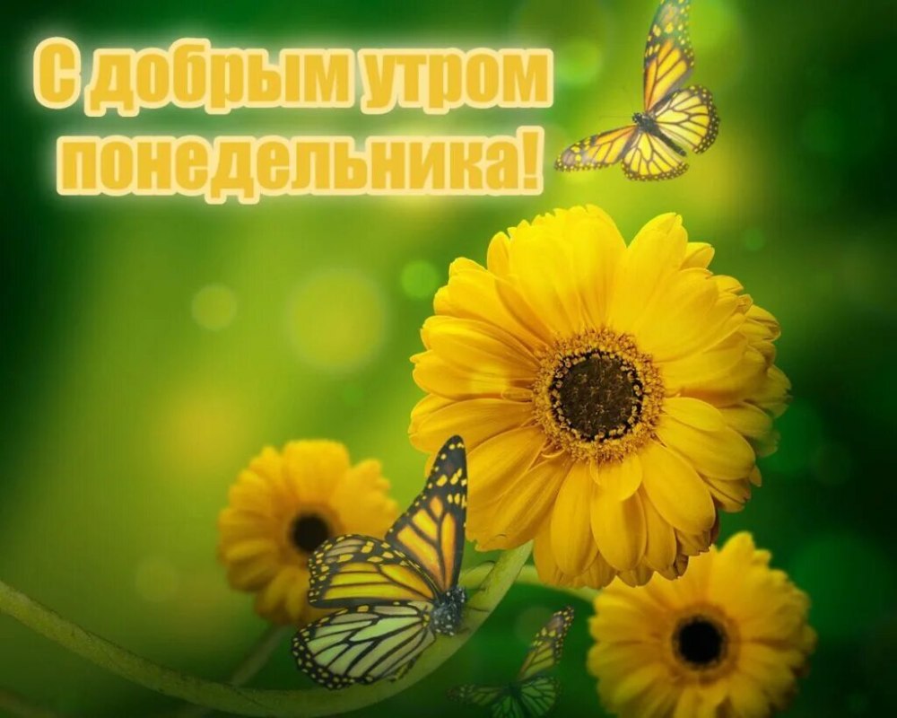 Поздравление с субботой