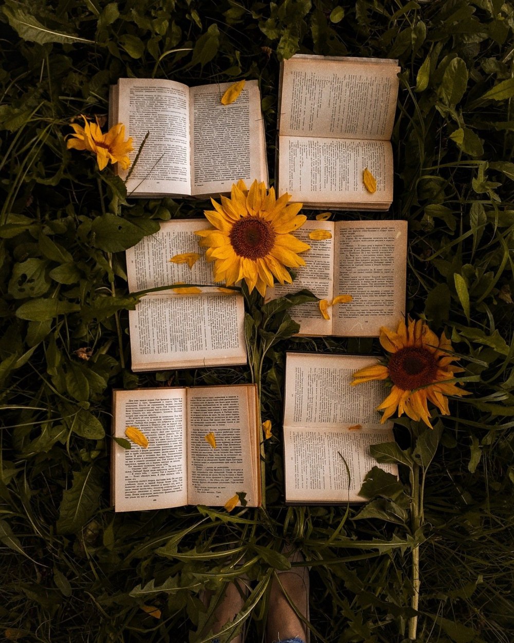 Книги Эстетика