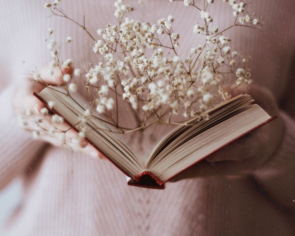Раскрытая книга Эстетика