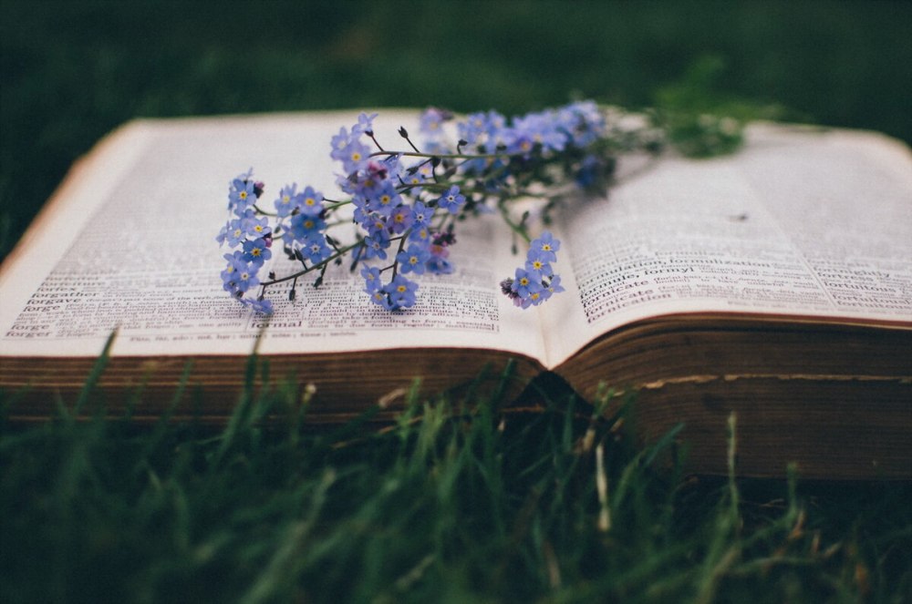 Книга цветы