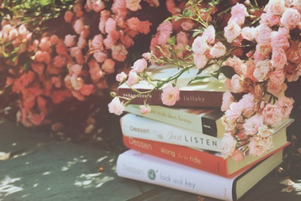 Лето книги Эстетика