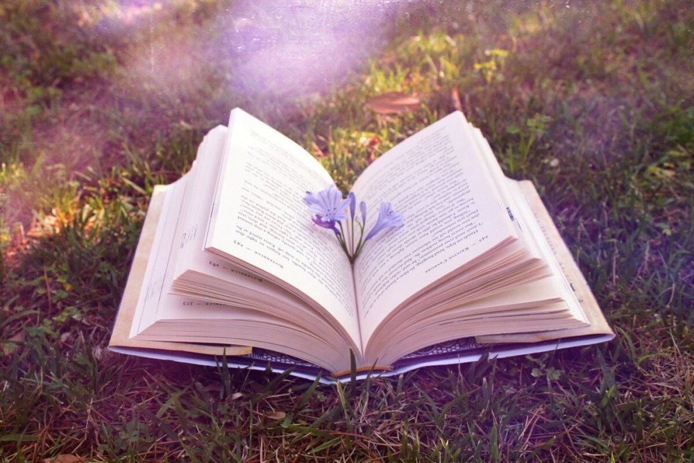 Раскрытая книга