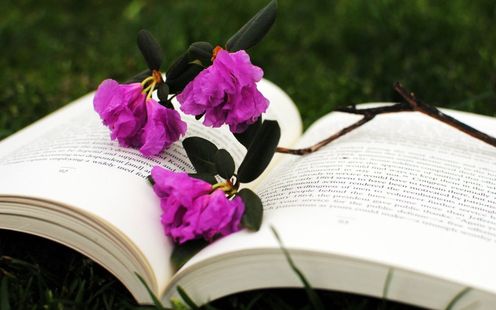 Цветы и книги фото красивые