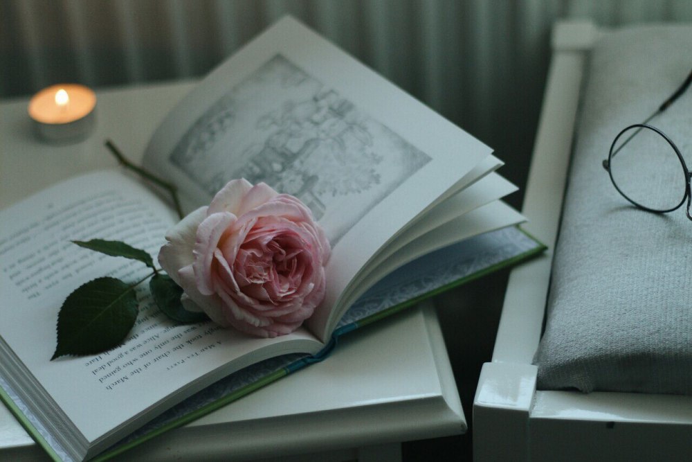 Книги Эстетика