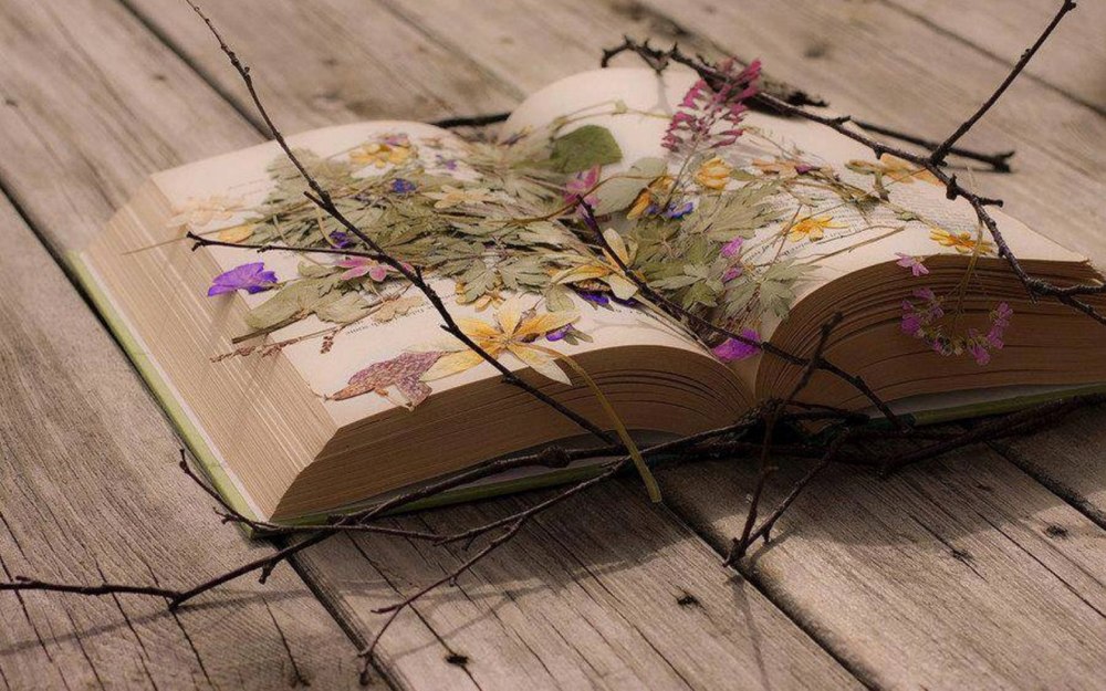 Книжка с гербарием