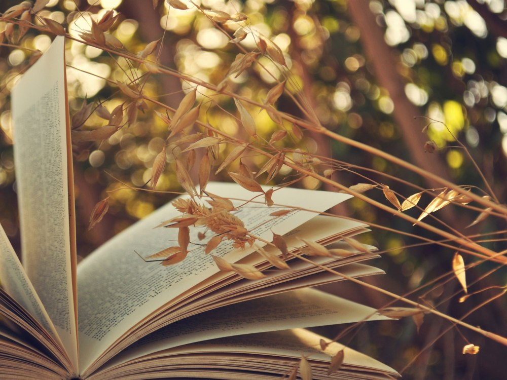 Книга природа