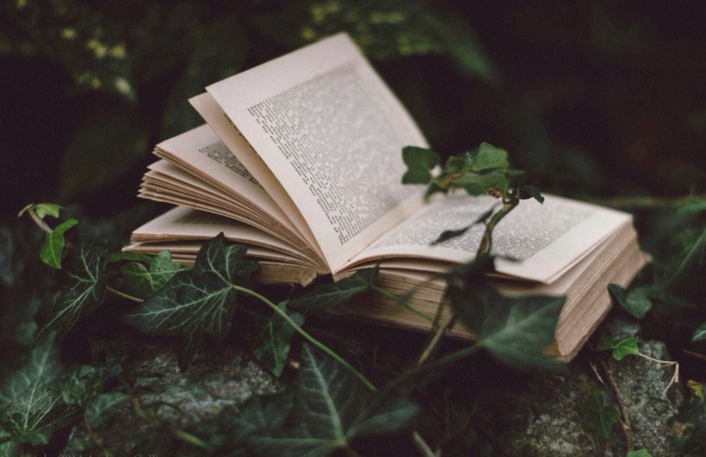 Эстетика книг в зеленом цвете