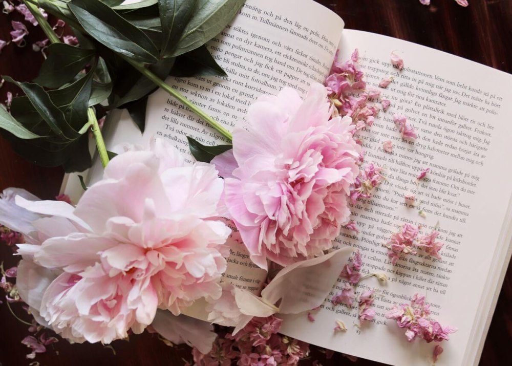 Эстетика книг и цветов