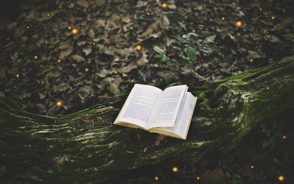 Эстетика природы и книжок