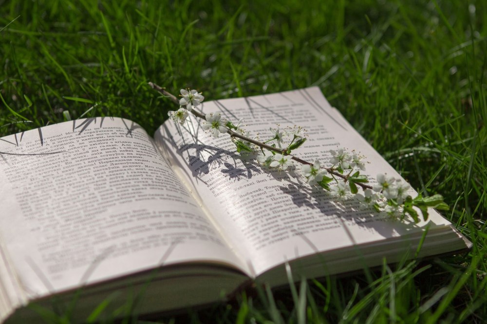 Книга на траве