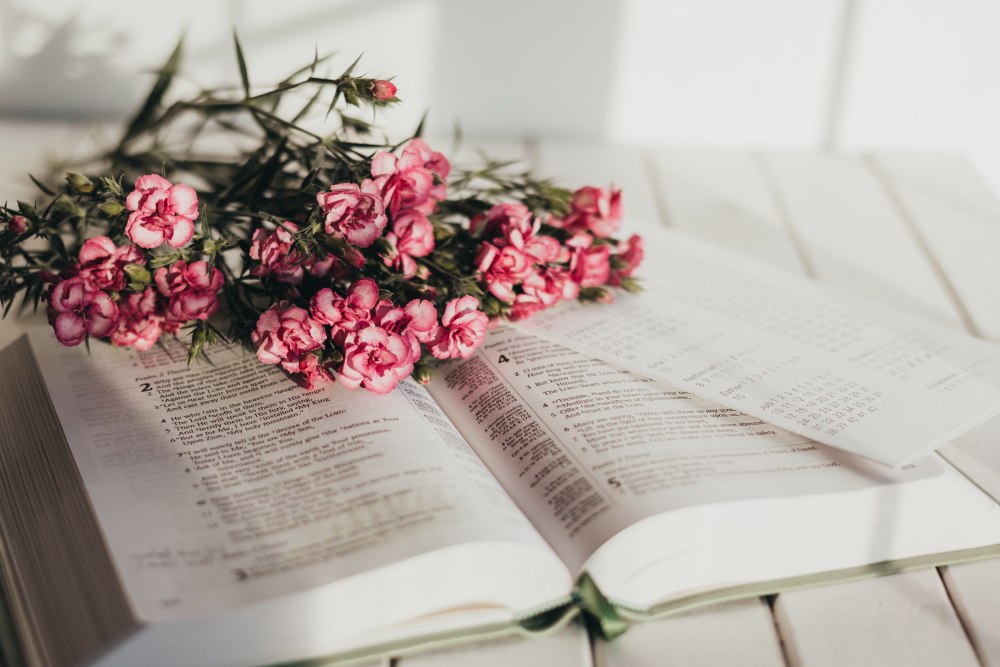 Книга на фоне цветов