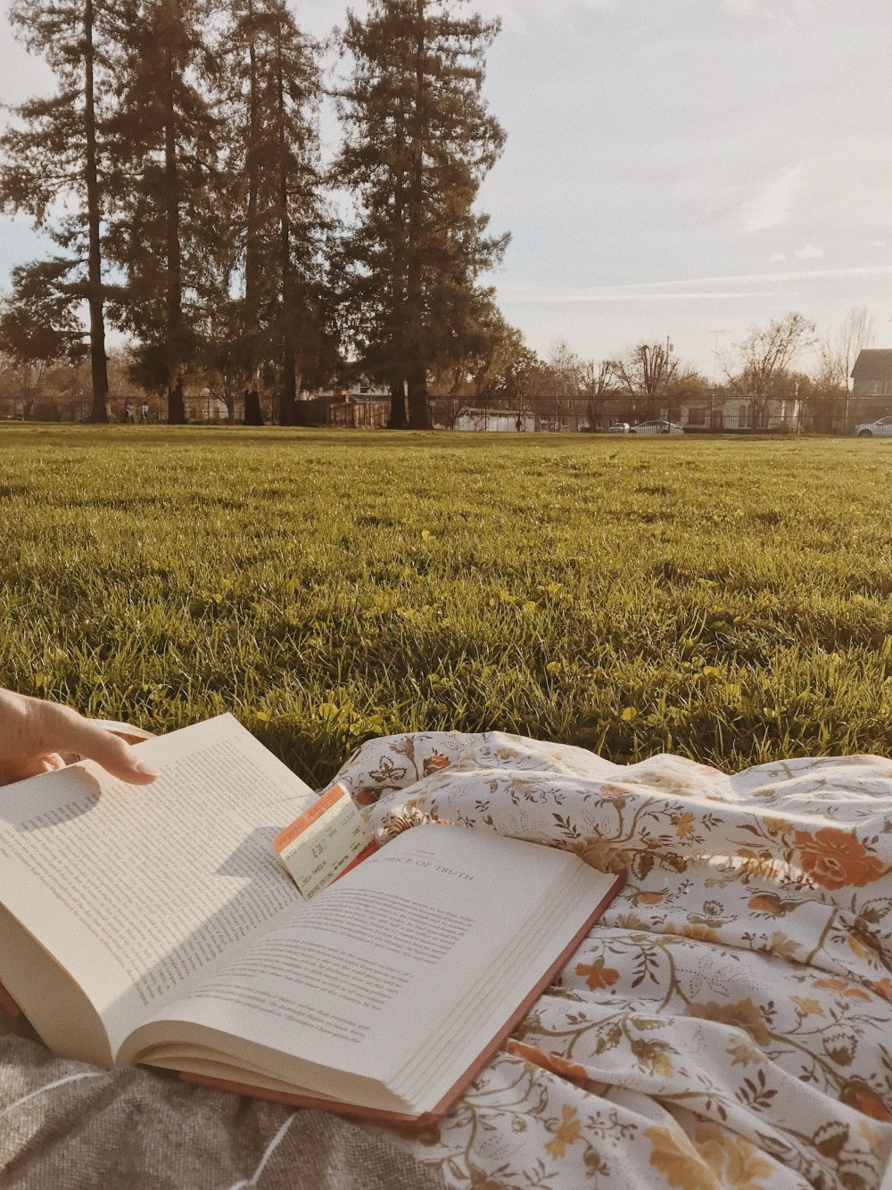 Фотосессия с книгой на природе