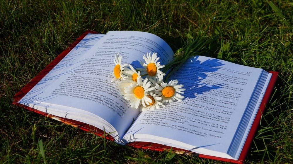 Книга природа