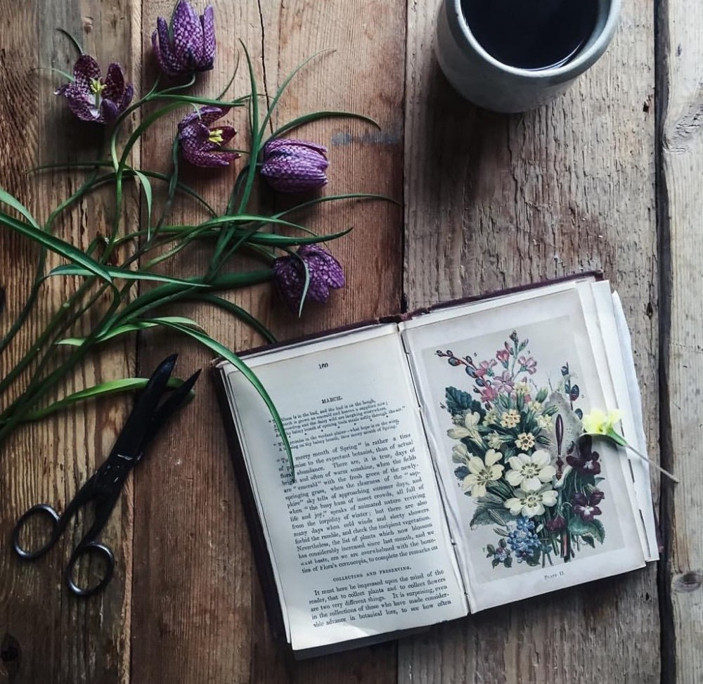 Фотосессия с книгами и цветами