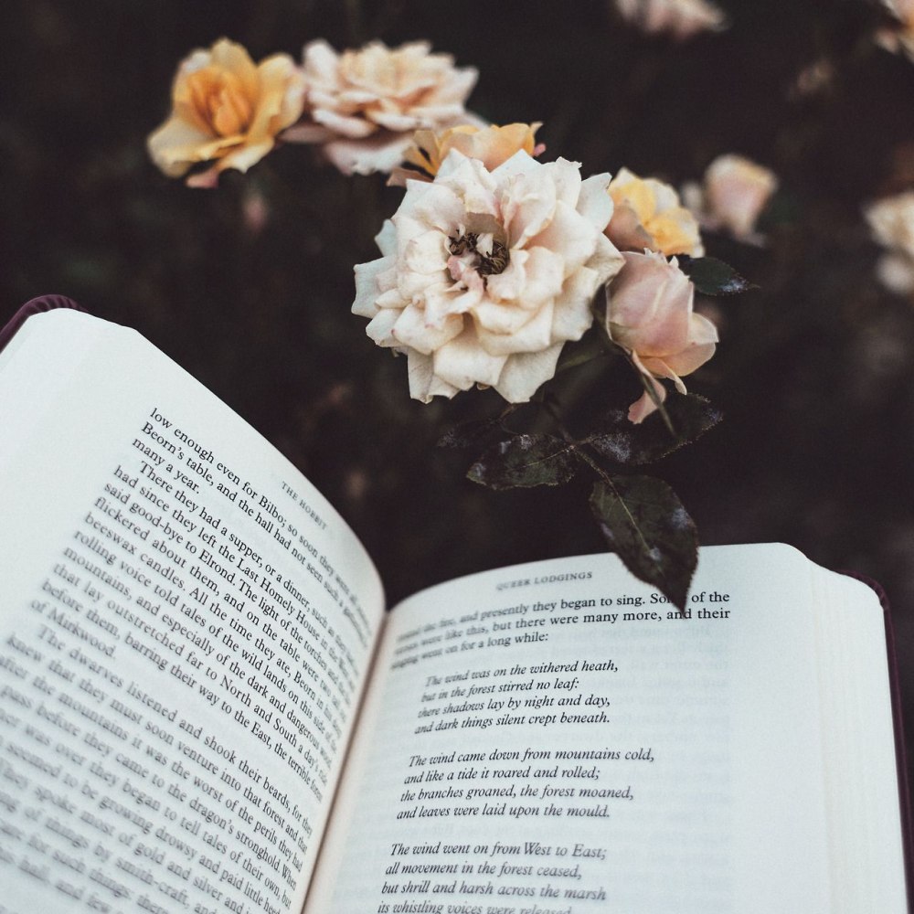 Книги Эстетика