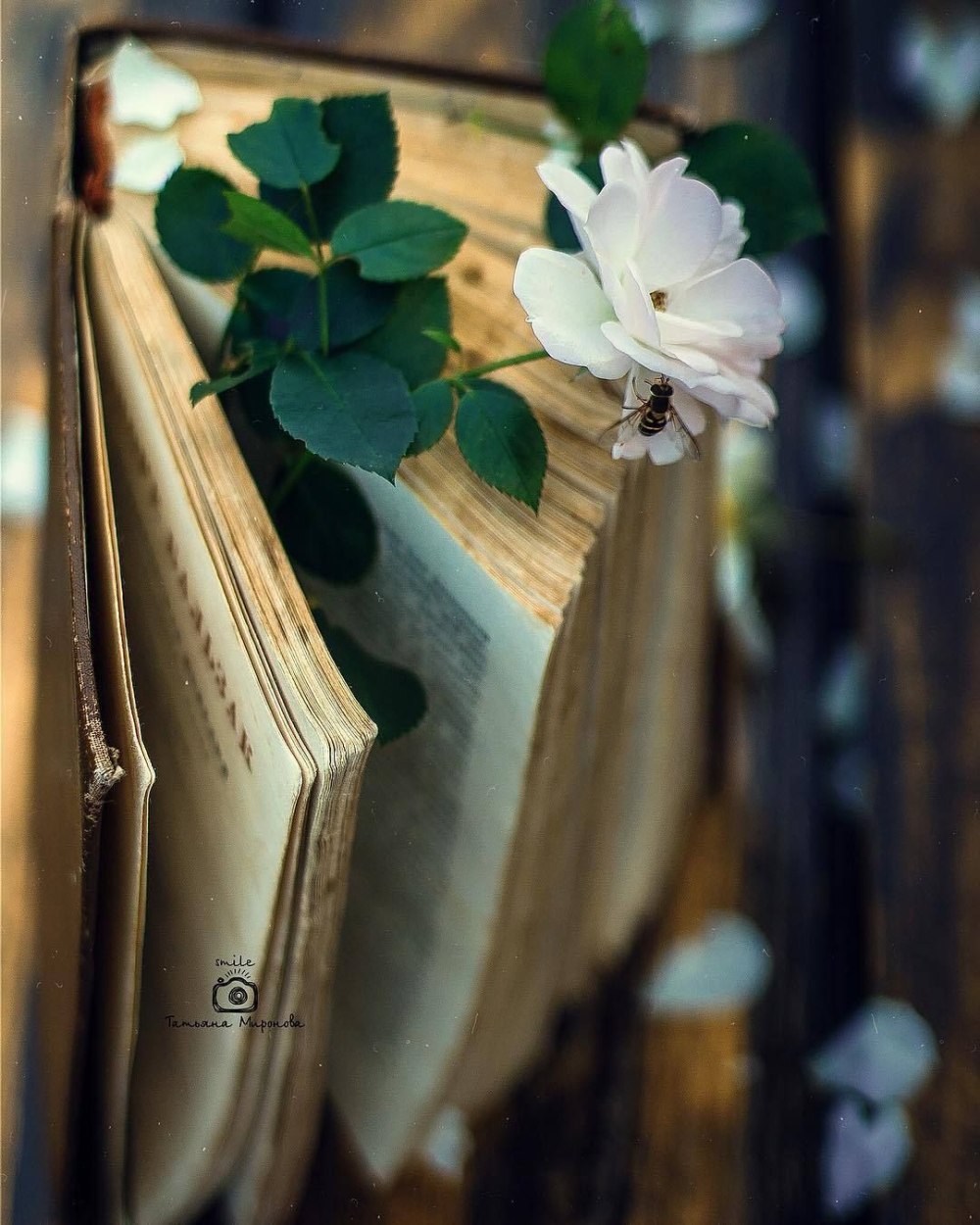Книга с цветами