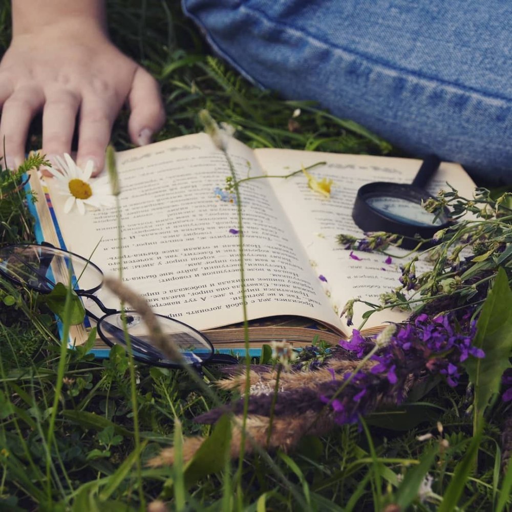 Лето книги Эстетика