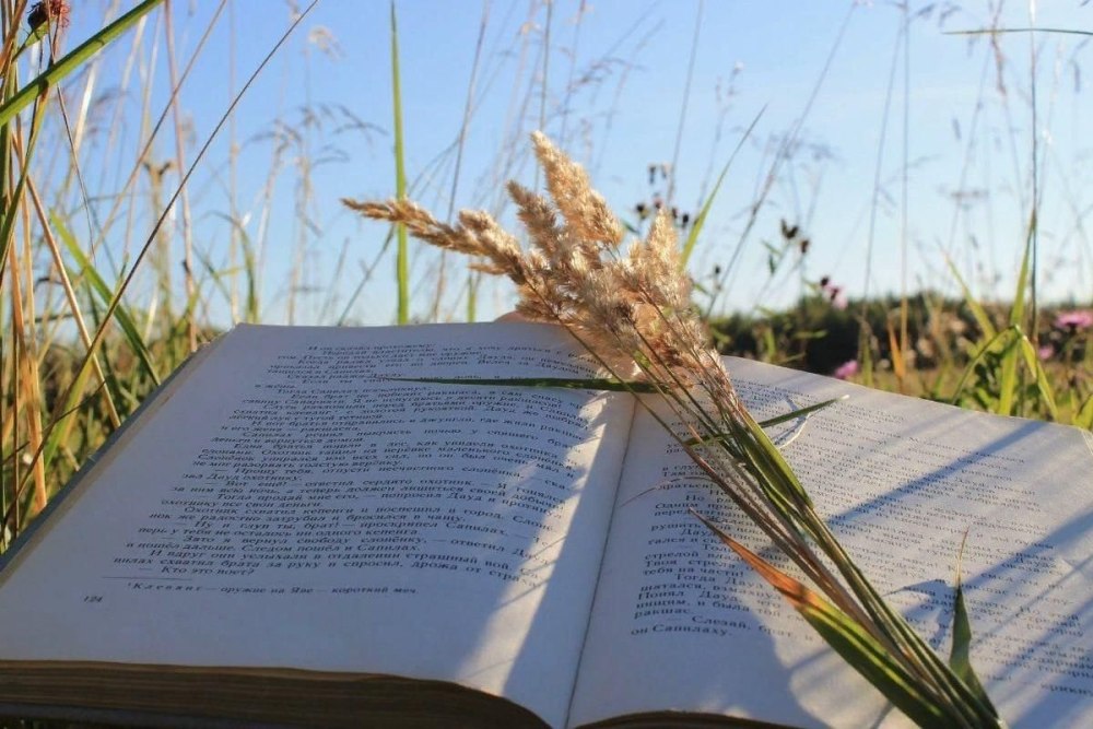 Книга природа