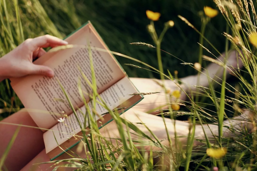 Книга природа