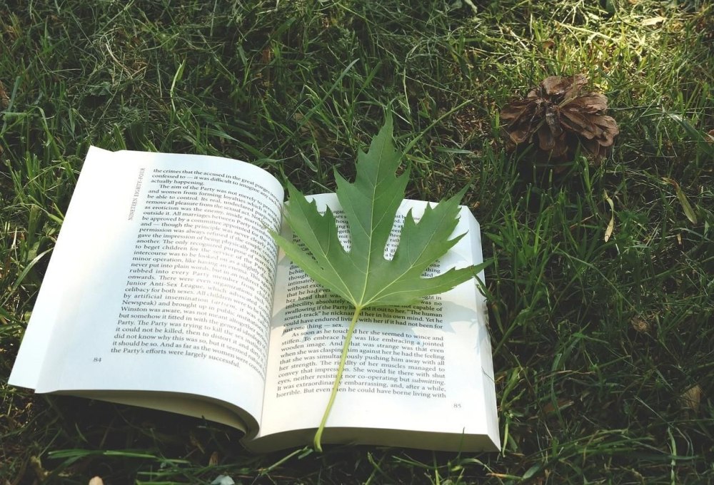 Книга на траве