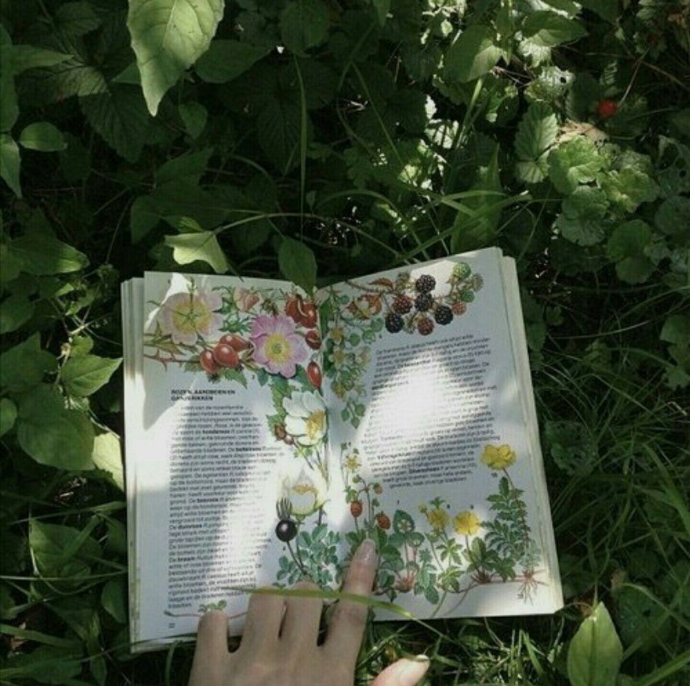 Эстетика книг зелёных