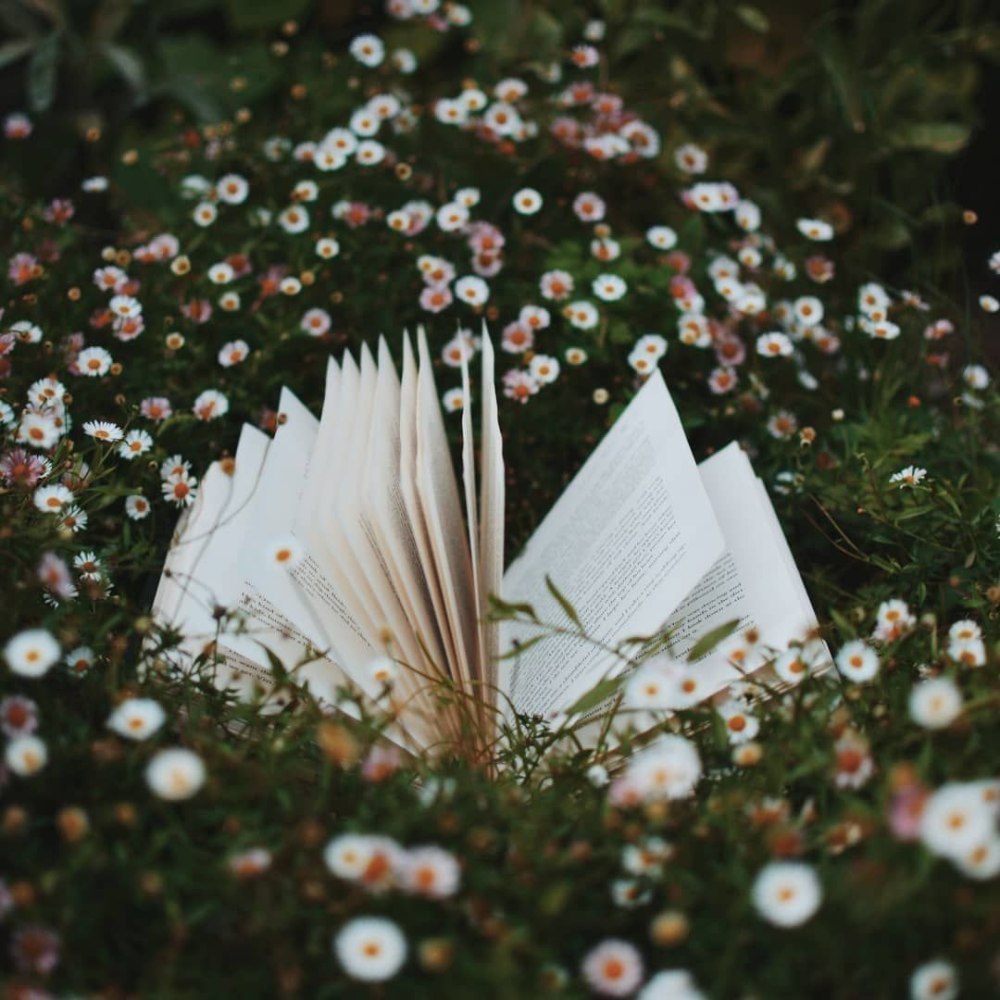 Книжная Эстетика