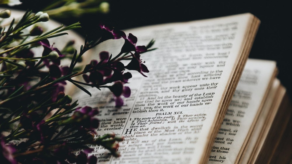 Книги Эстетика