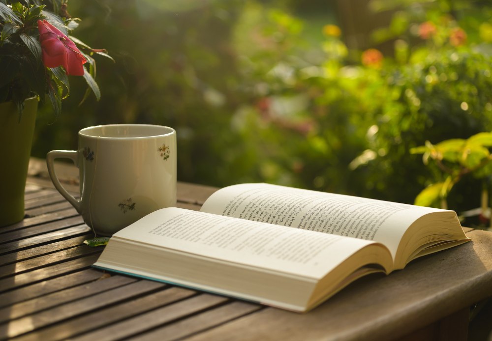 Стопка книг